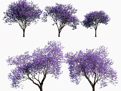 Vibrant Purple Flowering Trees With Lush Canopies And Brown Trunks 3d model