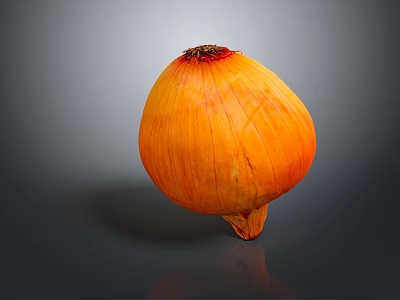 Fresh Orange Onion with Shiny Surface on Gray Background Healthy Vegetable 3d model