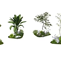 Creative Plant Combinations With Trees Shrubs Grass Decorative Stones And Small Lights
