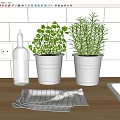 Fresh Herb Plants In White Pots On Kitchen Countertop With Olive Oil Bottle