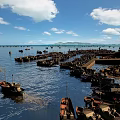 Charming Coastal Fishing Harbor With Countless Moored Boats Under Bright Blue Sky Over Calm Sea