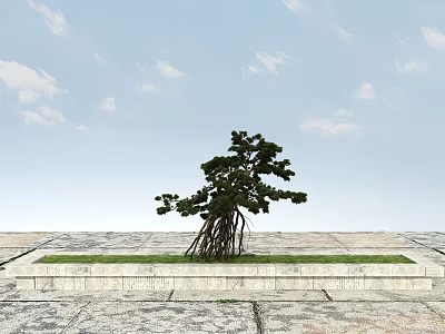 Single Tree with Exposed Roots in Square Stone Planter Against Blue Sky and Stone Pavement 3d model