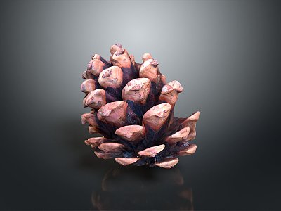 pine cone plant 3d model