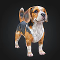 Cute Beagle Puppy With Tricolor Fur Standing On Black Background
