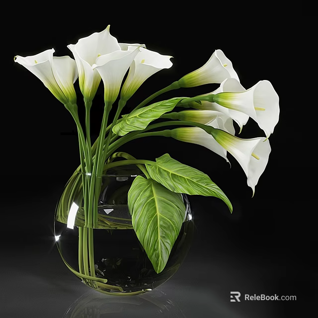 Transparent Glass Vase With White Calla Lilies And Green Leaves On Black Background 3d model 