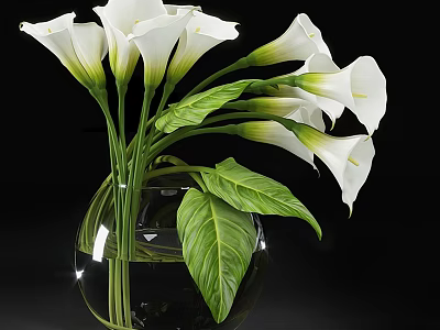 Transparent Glass Vase With White Calla Lilies And Green Leaves On Black Background 3d model