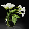 Transparent Glass Vase With White Calla Lilies And Green Leaves On Black Background