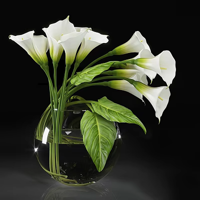 Transparent Glass Vase With White Calla Lilies And Green Leaves On Black Background 3d model