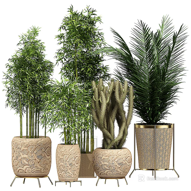 Various Indoor Bonsai and Potted Plants in Decorative Ceramic Pots for Home Decor 3d model 