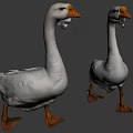 Two White Geese With Orange Beaks And Webbed Feet Against Black Background