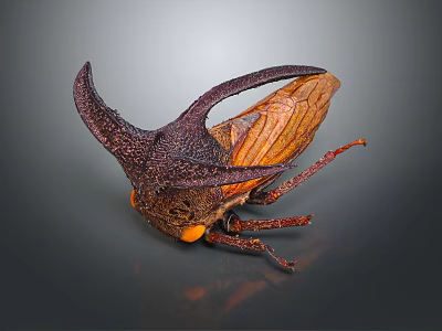 Unique Horned Cicada With Textured Brown Wings And Yellow Body On Gray Background 3d model