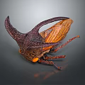 Unique Horned Cicada With Textured Brown Wings And Yellow Body On Gray Background