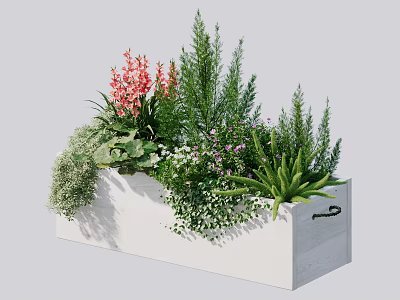 Bonsai Potted Plant in White Rectangular Planter with Mixed Flowers and Greenery 3d model