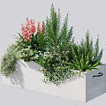Bonsai Potted Plant in White Rectangular Planter with Mixed Flowers and Greenery