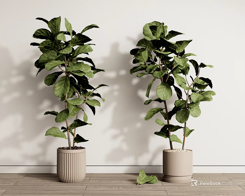 Indoor Potted Plants with Lush Green Leaves Minimalist Pots Against White Wall on Wooden Floor 3d model 