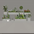 Stylish Indoor Plant Display With White Planters Various Greenery And Colorful Flowers