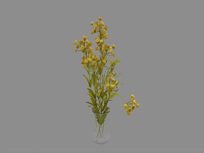 Fresh Natural Yellow Flower Arrangement In Transparent Glass Vase With Green Leaves 3d model