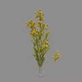 Fresh Natural Yellow Flower Arrangement In Transparent Glass Vase With Green Leaves