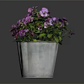 Vibrant Purple And Pink Flowers In Silver Metal Bucket With Green Leaves On Dark Background