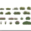Various Colorful Flowering Plants And Green Herbaceous Shrubs With Different Bloom Colors And Foliage Textures