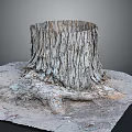 Natural Wooden Stump With Detailed Bark Texture And Exposed Tree Roots In Stone Setting