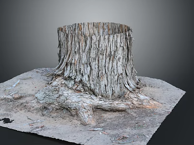 Natural Wooden Stump With Detailed Bark Texture And Exposed Tree Roots In Stone Setting 3d model