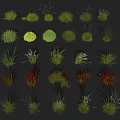 Diverse Varieties of Herbs and Grasses with Vibrant Green Yellow Red Colors Neatly Arranged