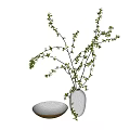 Minimalist White Vase With Green Leafy Branches And Fresh Floral