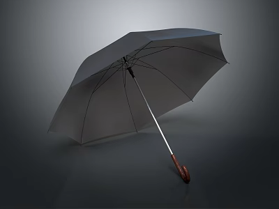 Black Umbrella With Wooden Handle And Metal Ribs For Daily Use 3d model