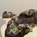 Large Stone Formations With Dark Seaweed And Wooden Accents On Sandy Coastal Terrain