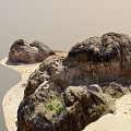 Beach Rock Moss 3d model