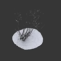 Snow Covered Shrub With Bare Branches And White Snow Around Dark Background 3d model