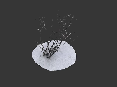 Snowscape Shrubs Winter Russia Nature Shrubs Trees Snowfield Bare Shrubs Soil Flora 3d model