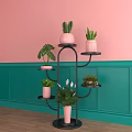 Three Bonsai Potted Plants On Black Metal Stands With Pink Teal Walls