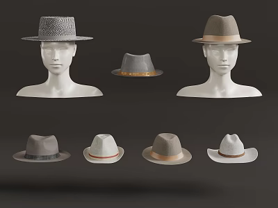 Stylish Fashion Hats With Multiple Styles And Colors Displayed On Mannequin Heads And 3d model