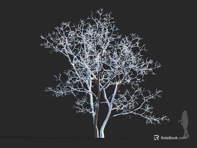 Tall Leafless Tree With Bare Branches Against Black Background And Human Silhouette 3d model 