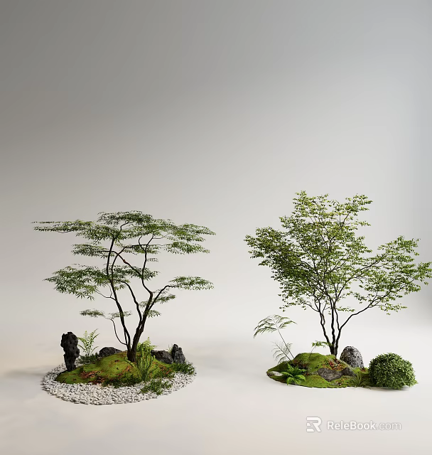 Natural Indoor Landscape With Trees Moss Stones And Small Plants 3d model 