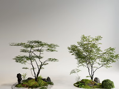Natural Indoor Landscape With Trees Moss Stones And Small Plants 3d model