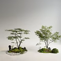 Natural Indoor Landscape With Trees Moss Stones And Small Plants