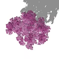 Lush Purple Flowering Tree With Dark Trunk And Natural Shadow Effect