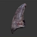 Purple Pink Dinosaur Fossil Bone Exhibiting Cracked Surface Texture Details