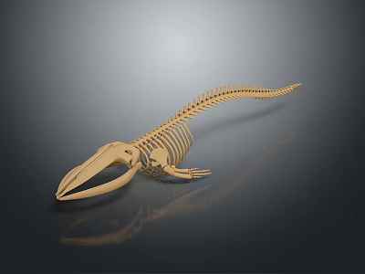 Detailed Golden Crocodile Skeleton Anatomical Organ Structure With Reflected Surface 3d model