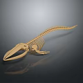 Detailed Golden Crocodile Skeleton Anatomical Organ Structure With Reflected Surface 3d model