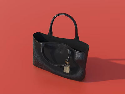 Black Leather Handbag With Top Handle And Metal Tag On Red Background 3d model