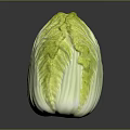 Fresh Chinese Cabbage With Green Leaves And White Stalk On Dark Background