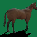 Brown horse with white forehead black mane white hooves standing on green background with shadow