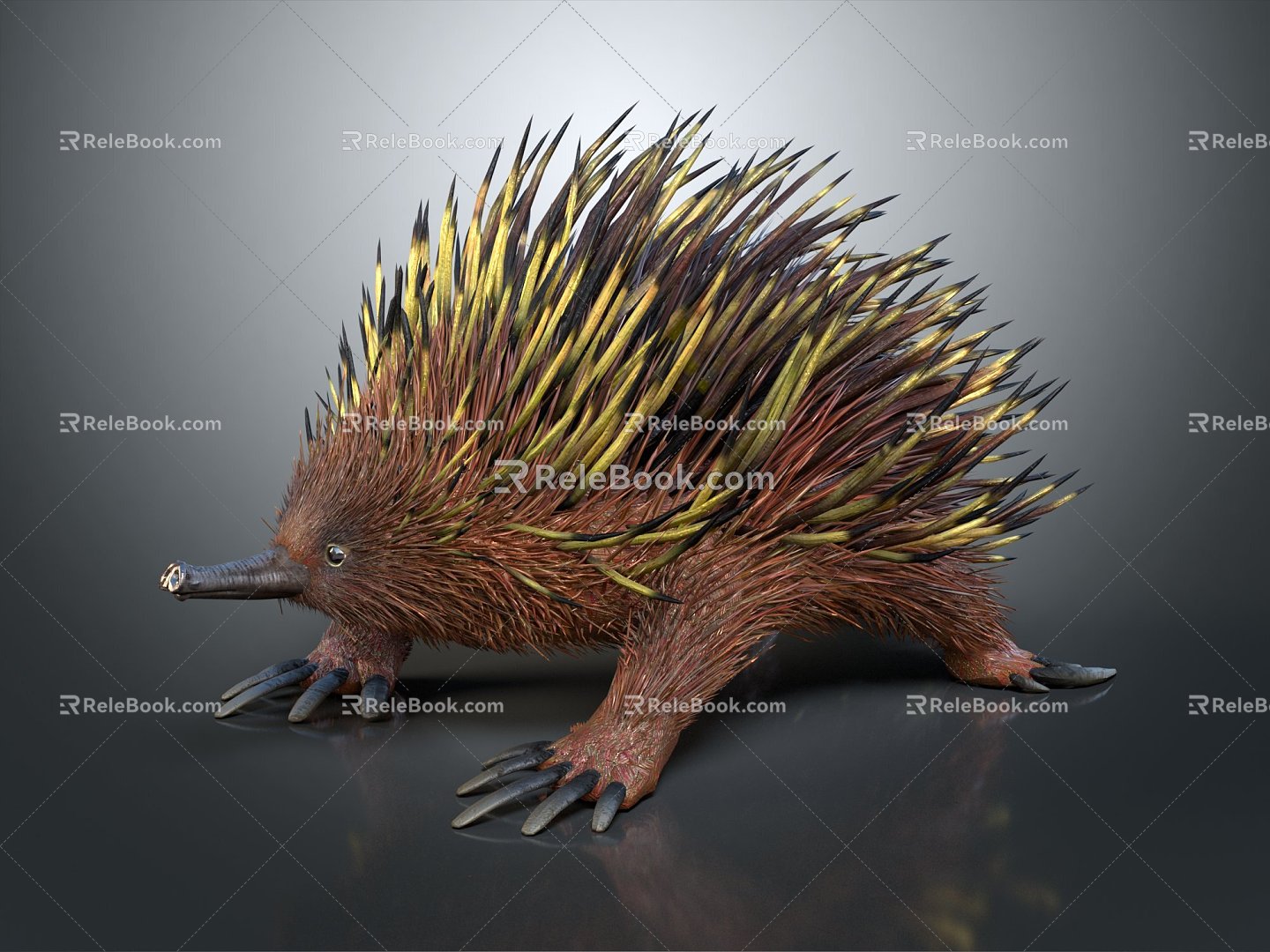 Modern Hedgehog Cartoon Hedgehog Animation Hedgehog 3d model