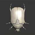Metallic Silver Beetle Figurine With Water Droplets On Smooth Black Surface Showing Reflective Base Details