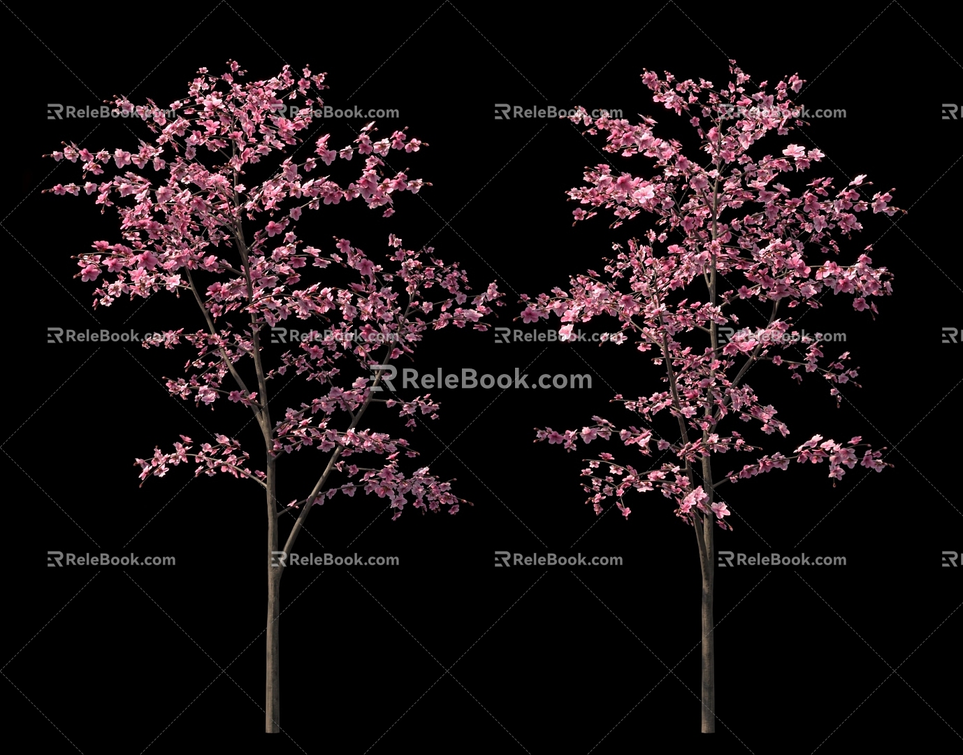 Peach Blossom Tree Cherry Tree Garden Shrub Group Background 3d model