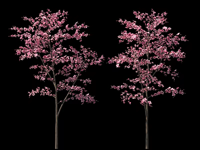 Vibrant Pink Flowering Shrubs with Lush Blooms and Fresh Green Foliage 3d model